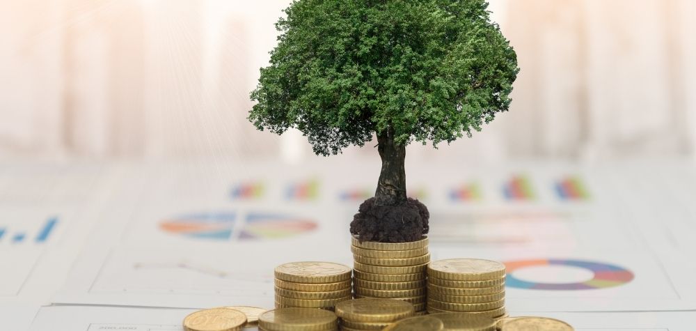 What Is Ethical Investing